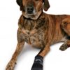 Trixie Walker Care Pfotenschutz-Stiefel - S – Bild 5