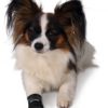 Trixie Walker Care Pfotenschutz-Stiefel - S – Bild 4