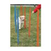 Trixie Agility Slalom – Bild 4