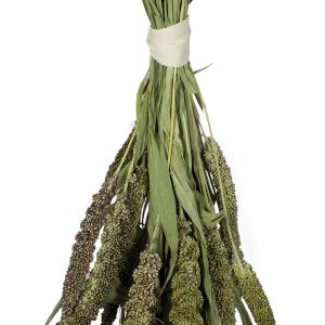 JR Birds Grüne Senegalhirs.50g